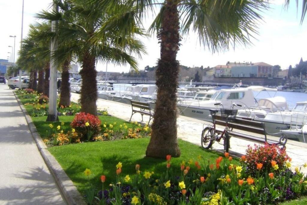 Hygge Zadar Apartment 外观 照片
